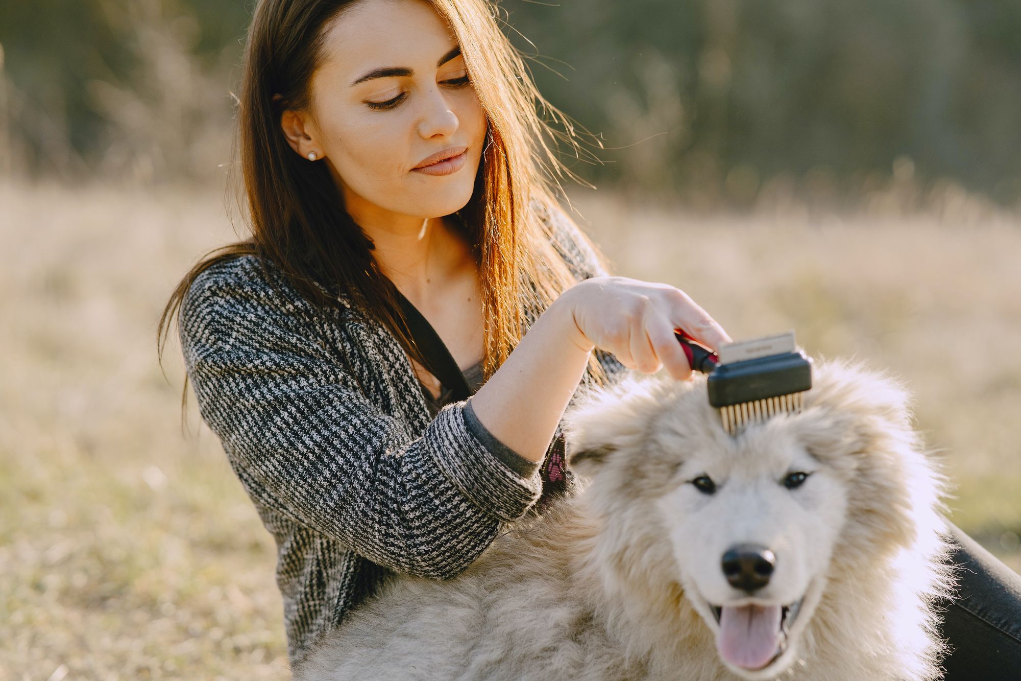 Starting a Dog Daycare Business at Home: A Guide to Owning a Profitable Business