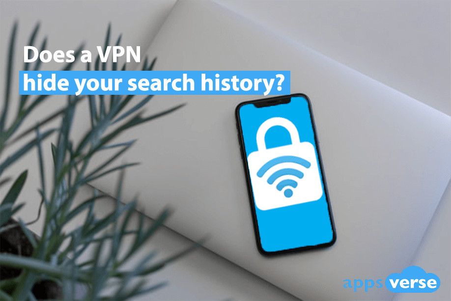 Does a VPN hide your search history?